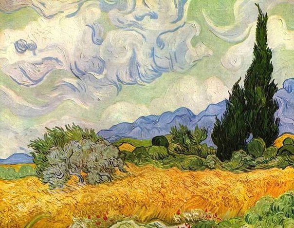 Пшеничное поле с кипарисами