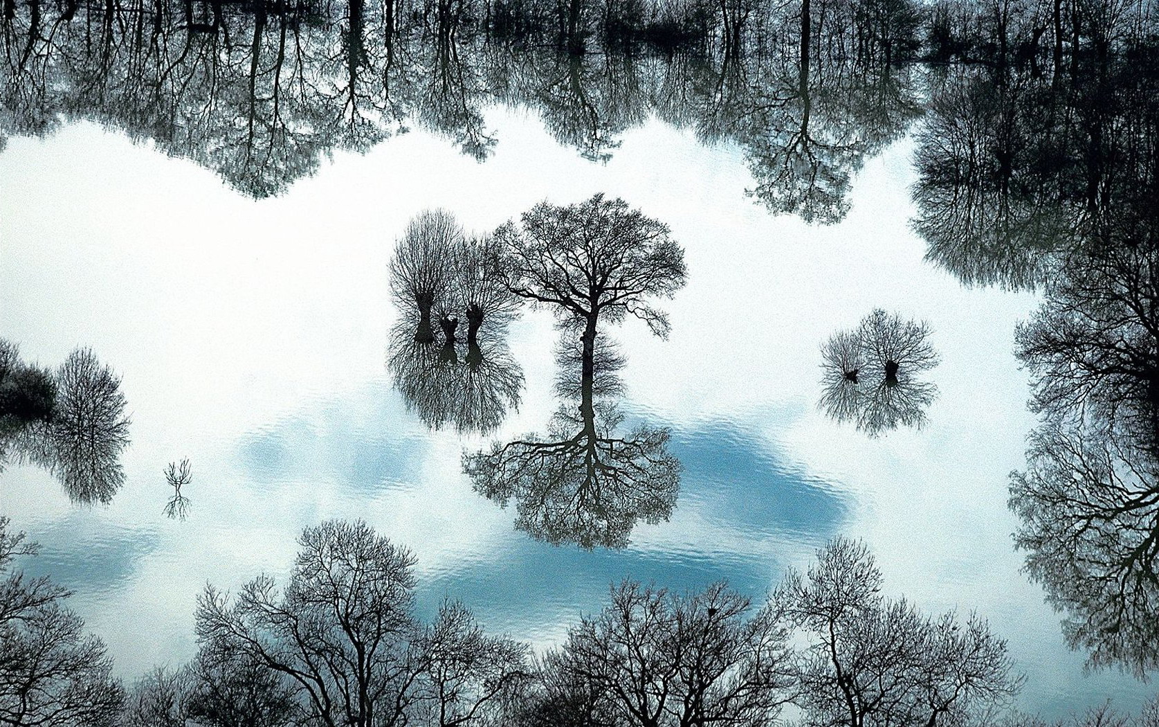 Ян Артюс Бертран. 60 самых невероятных фотографии со всего света