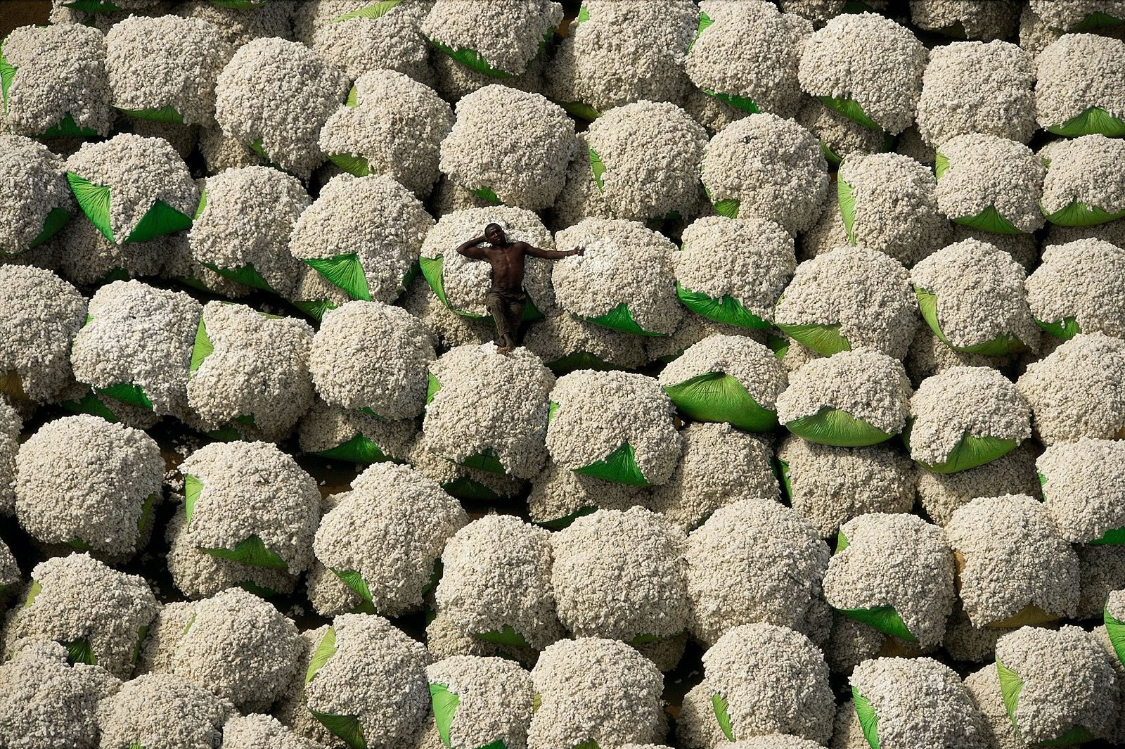 Ян Артюс Бертран. 60 самых невероятных фотографии со всего света