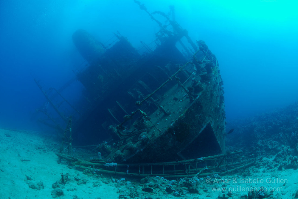 Яннис Д., Красное море Яннис Д., Красное море
