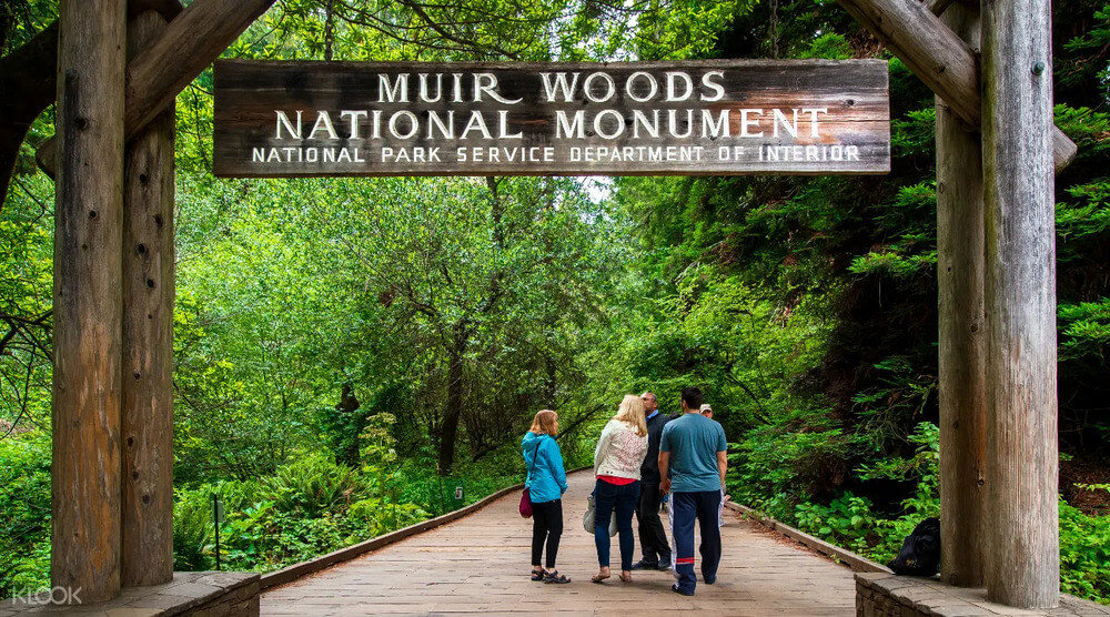 Мьюирский лес (Muir Woods)