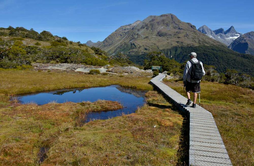 Пешеходный маршрут Рутберн трек (Routeburn Track)