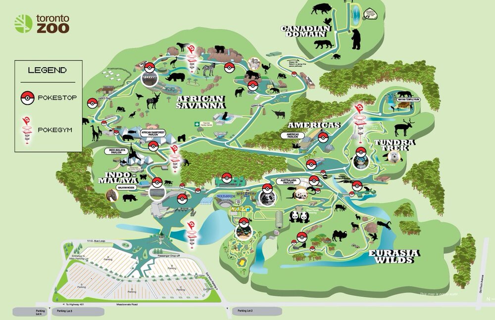 Зоопарк Торонто (Toronto Zoo) Зоопарк Торонто (Toronto Zoo)